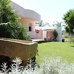 Villeriunite - Mimosa Gallipoli