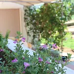Villeriunite - Mimosa Hébergement de vacances