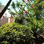 Hébergement de vacances Villeriunite - Mimosa