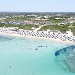 Villeriunite - Mimosa Hébergement de vacances