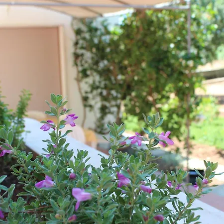 Villeriunite - Mimosa Ferienhaus